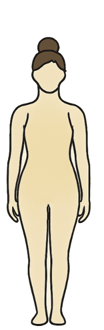 شماتیک اندام گلابی شکل 